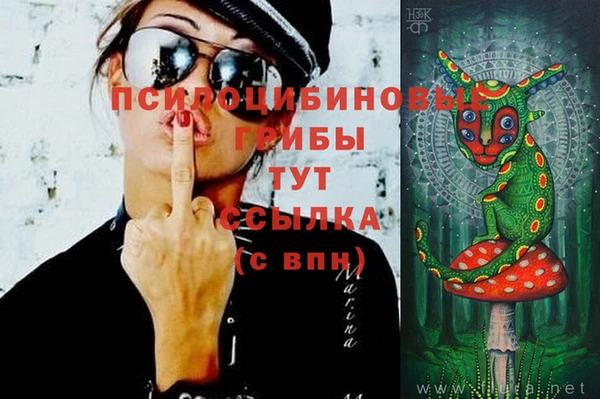 СК Алексин