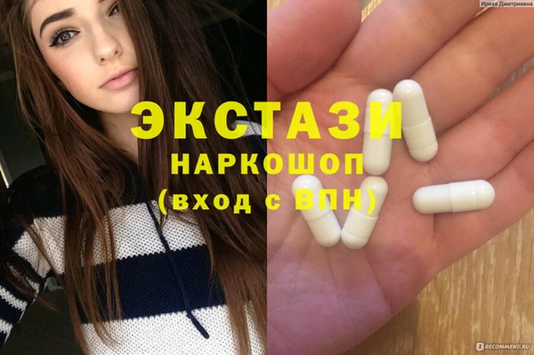 СК Алексин