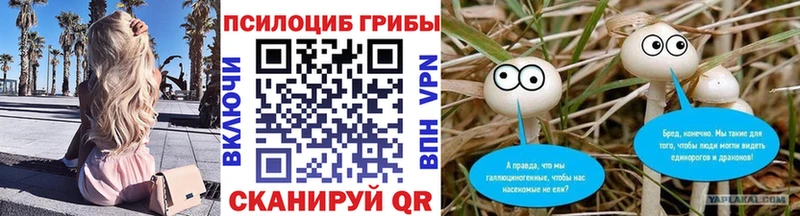 купить закладку  Анапа  Псилоцибиновые грибы Cubensis 