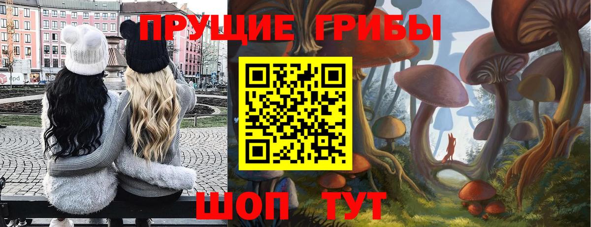 Псилоцибиновые грибы ЛСД Анапа
