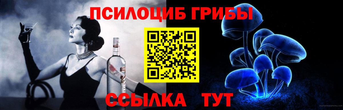 Псилоцибиновые грибы Cubensis  Галлюциногенные грибы прущие грибы  Вход с VPN  Анапа 